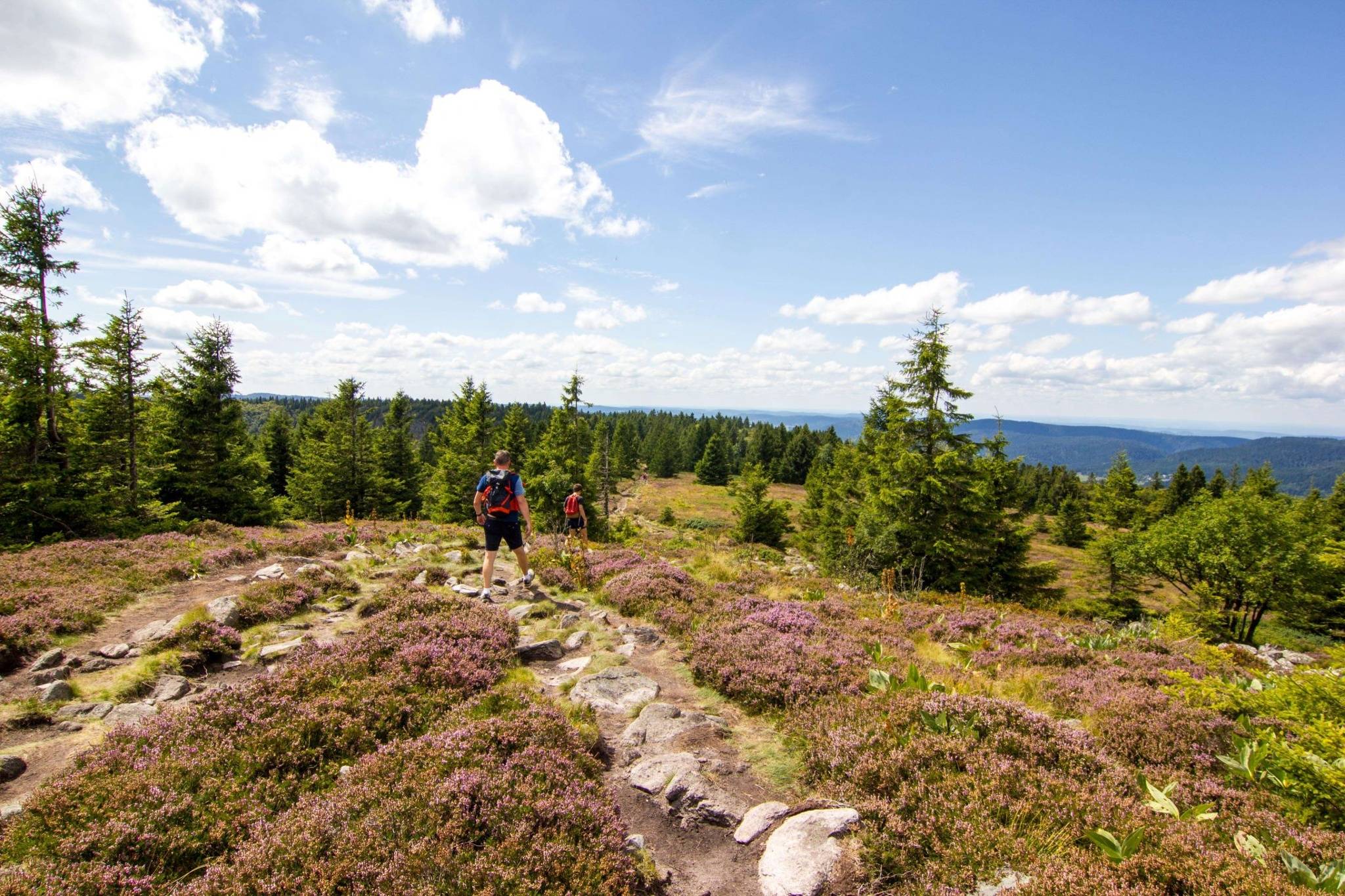 Les plus belles randonnées dans les Vosges