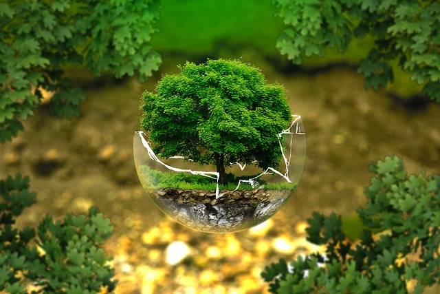Quels sont les meilleurs hébergements des campings écologiques des Vosges ?